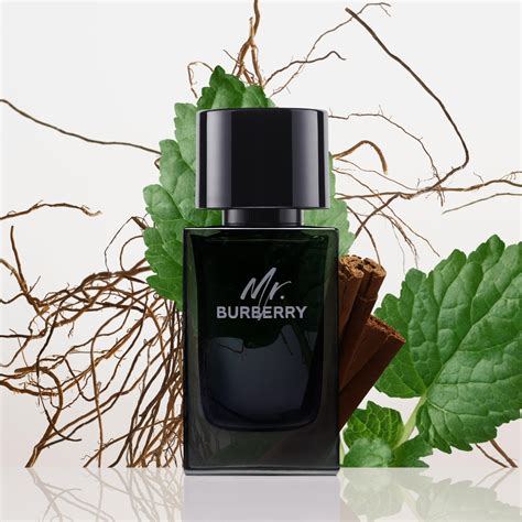 mr burberry century 21|mr Burberry eau de parfum.